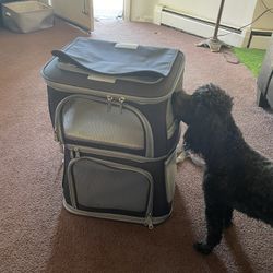 Dog Traveling/Bookbag/Case