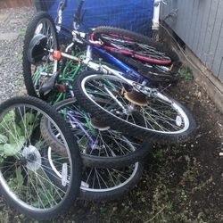 Bunch Of Bike 