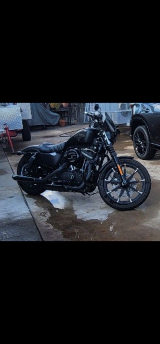 2016 Harley Davidson 883 Iron 6000 Miles Looks And Runs Great