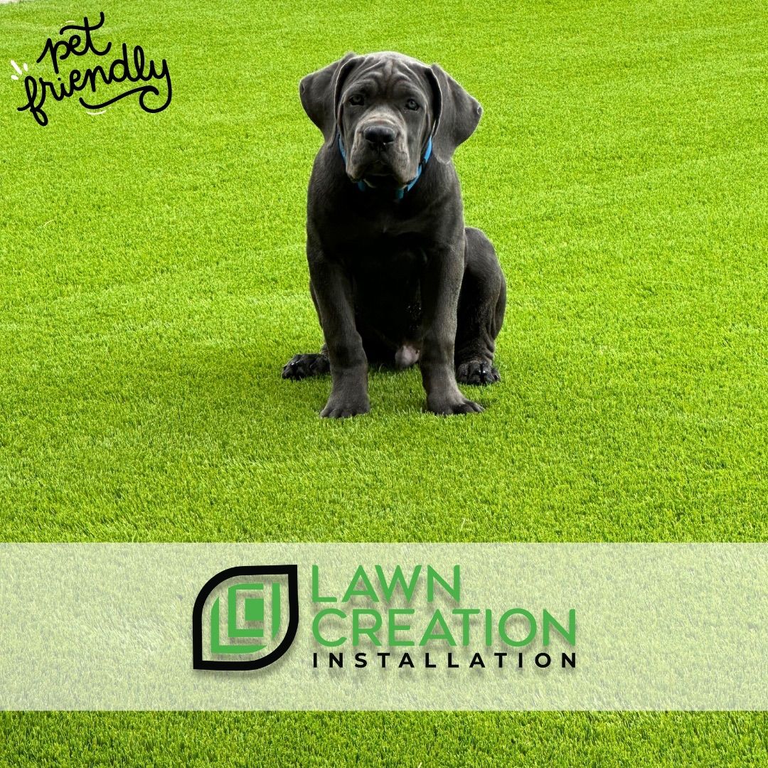 Artificial Turf