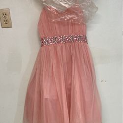 Sweet 15/ 16 Pink Court’s Dress 