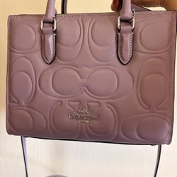 Coach Bag (light Purple )