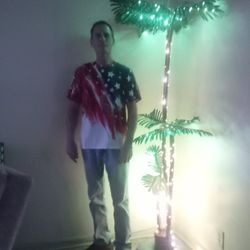 6 Foot 4 Foot 2 Foot Lighted Palm