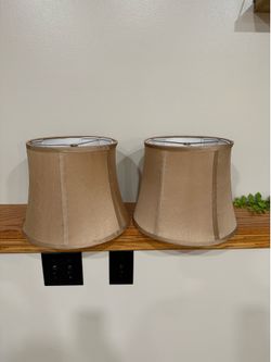 Set of 2 Lamp Shades