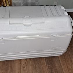 Igloo Cooler 