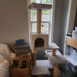 Cat Post-- FREE