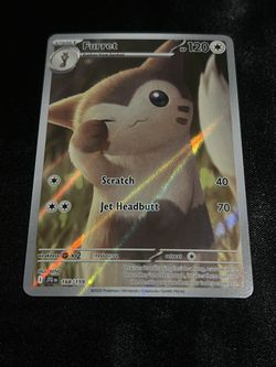 Furret Pokemon
