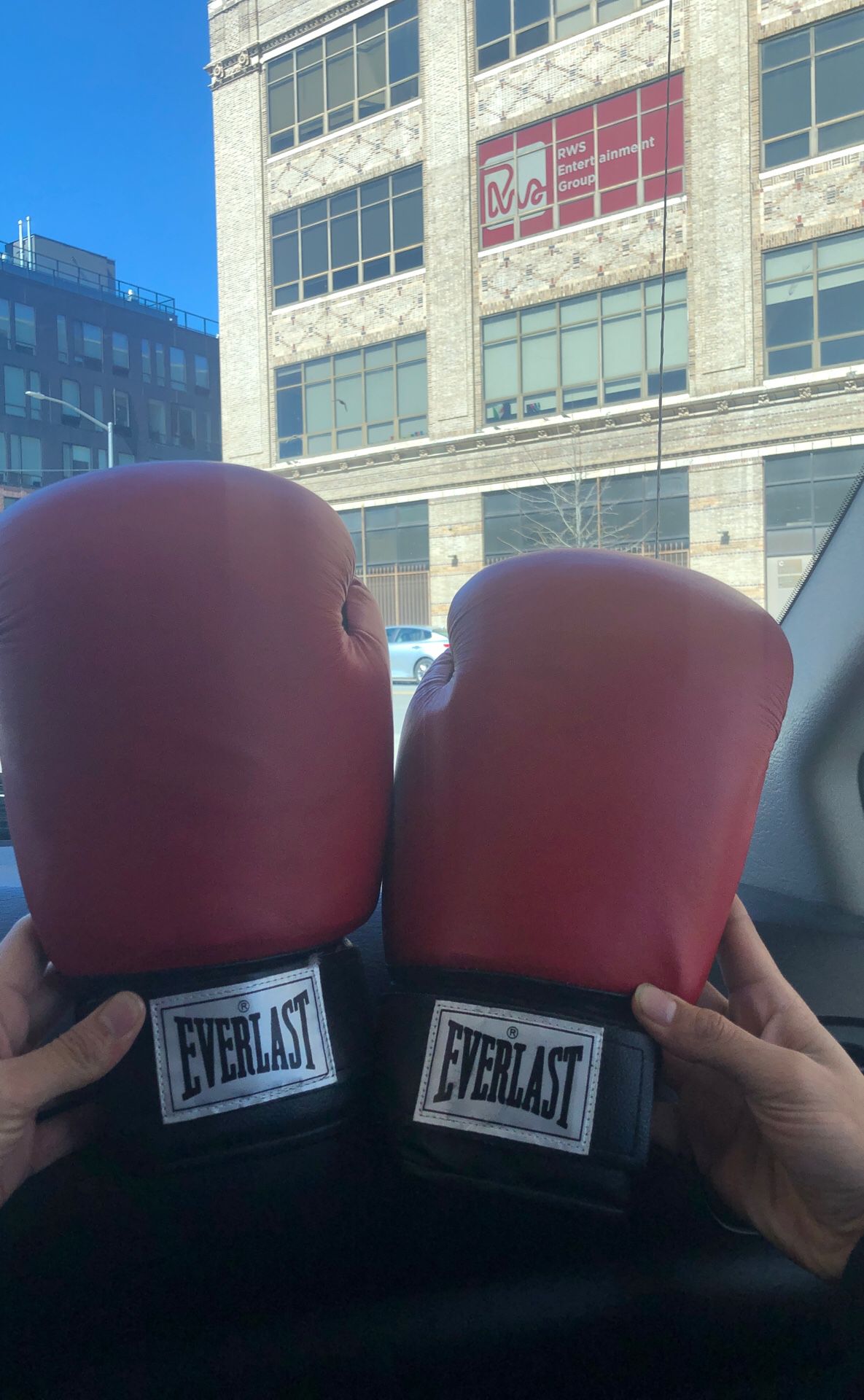 BOXING GLOVES EVERLAST 9/10 condition