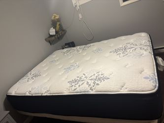 Queen Size Ashley Mattress