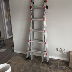 Little Giant Ladder 