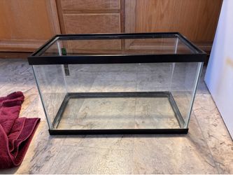 Reptile aquarium