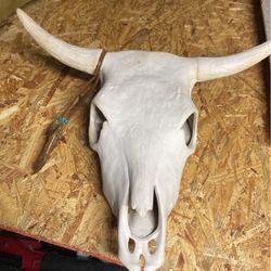 Skull Decoration Etc