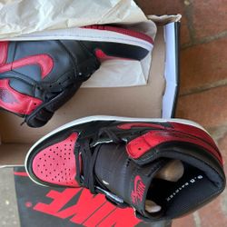 Jordan Bred 1