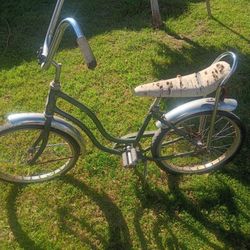 Schwinn 20 Inch Bike . 
