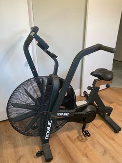 Rogue Echo Bike
