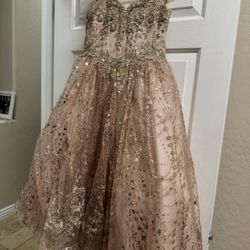 Sparkling Rose Gold Kids Dress