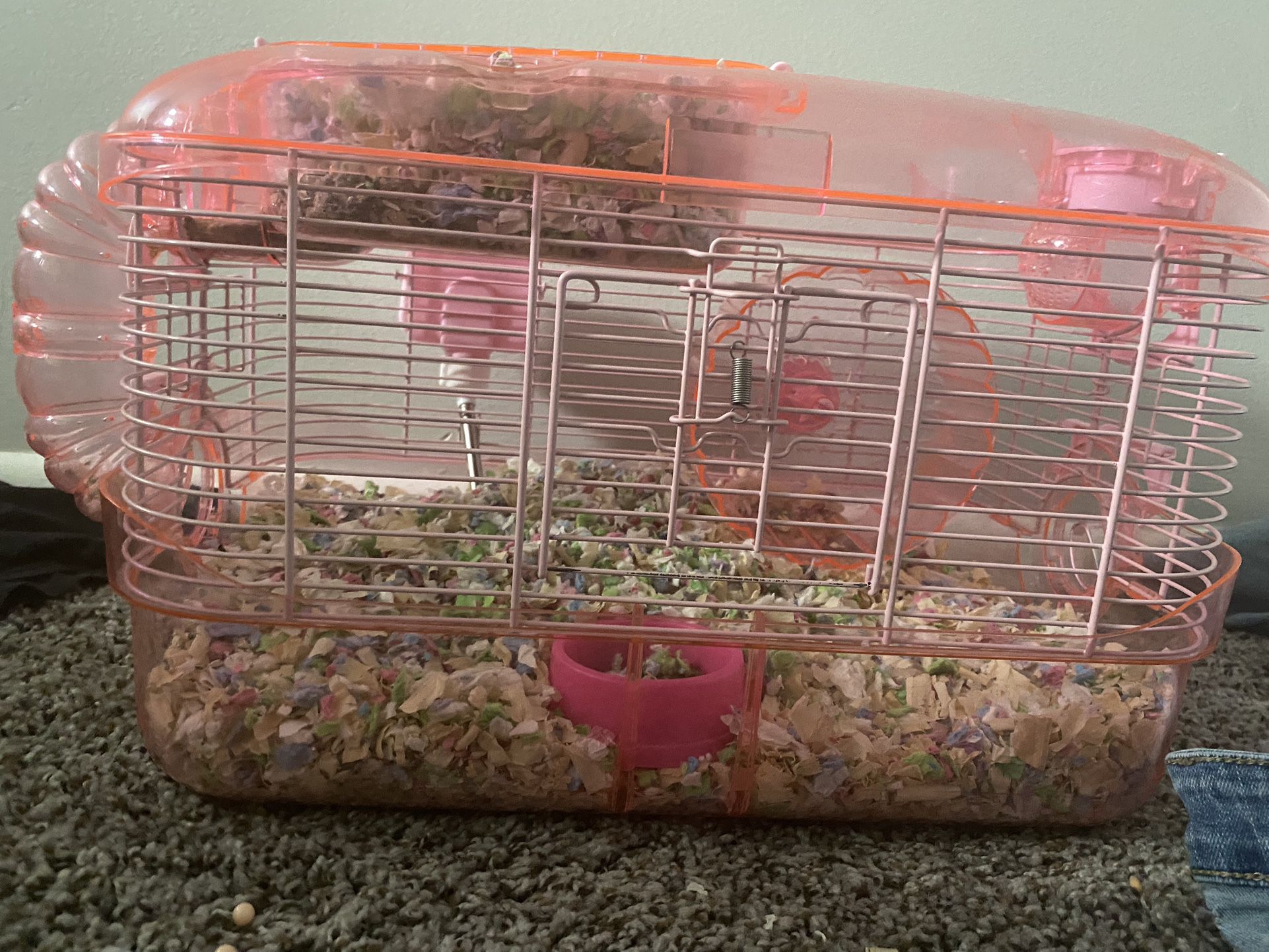 hamster and cage 