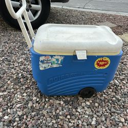 Camping Cooler 