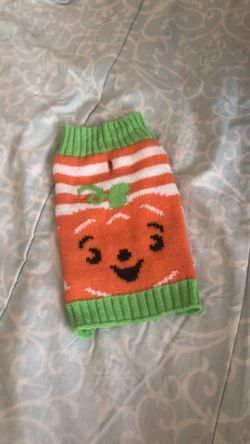 Pet Pumpkin Outfit 