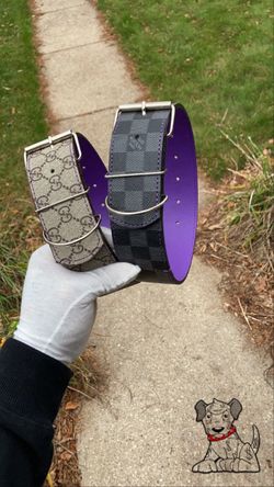 DOG COLLARS 