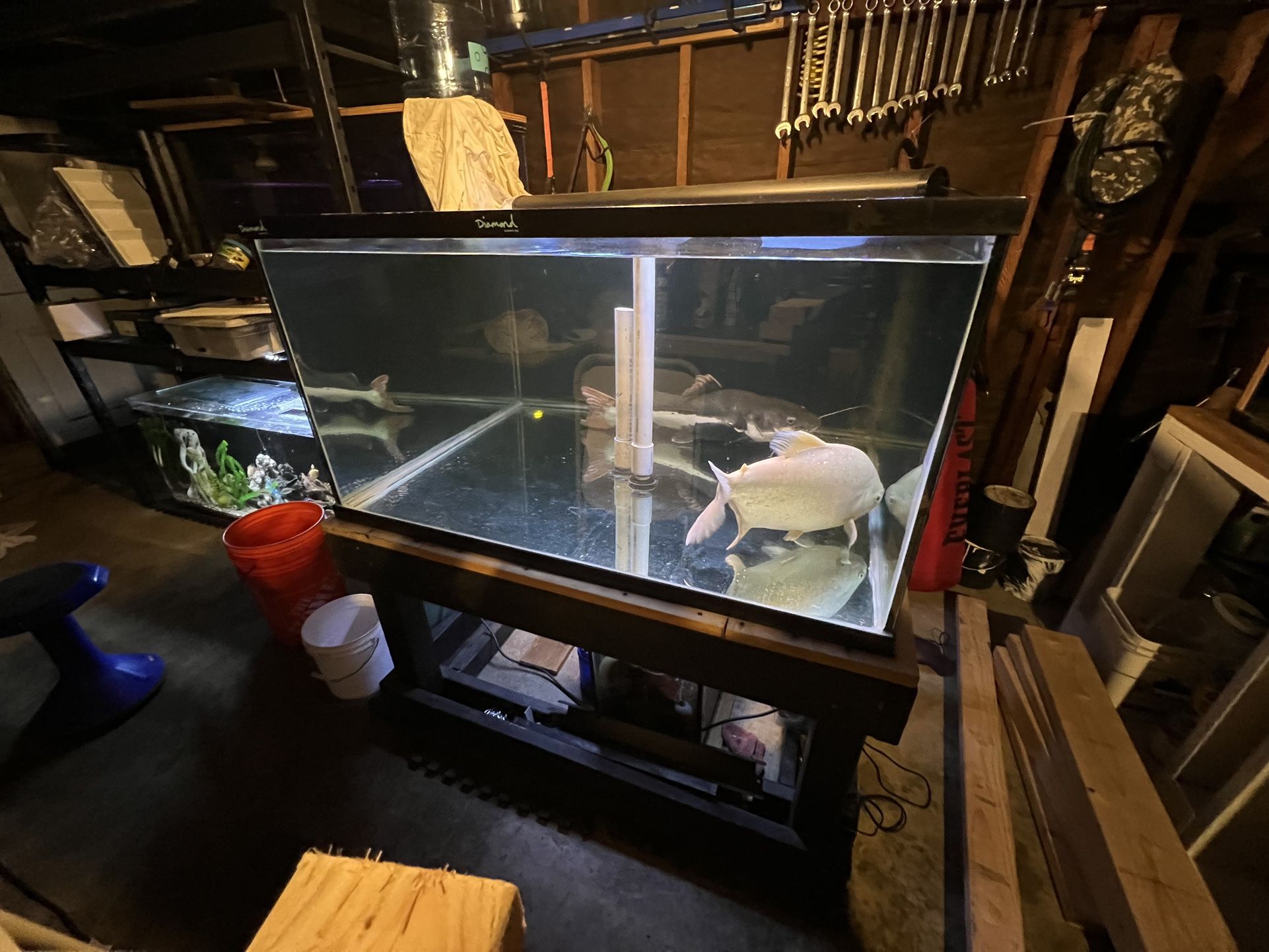 240 Gallon Fish Tank 