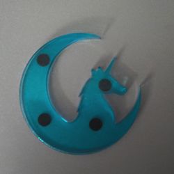 Resin Magnet