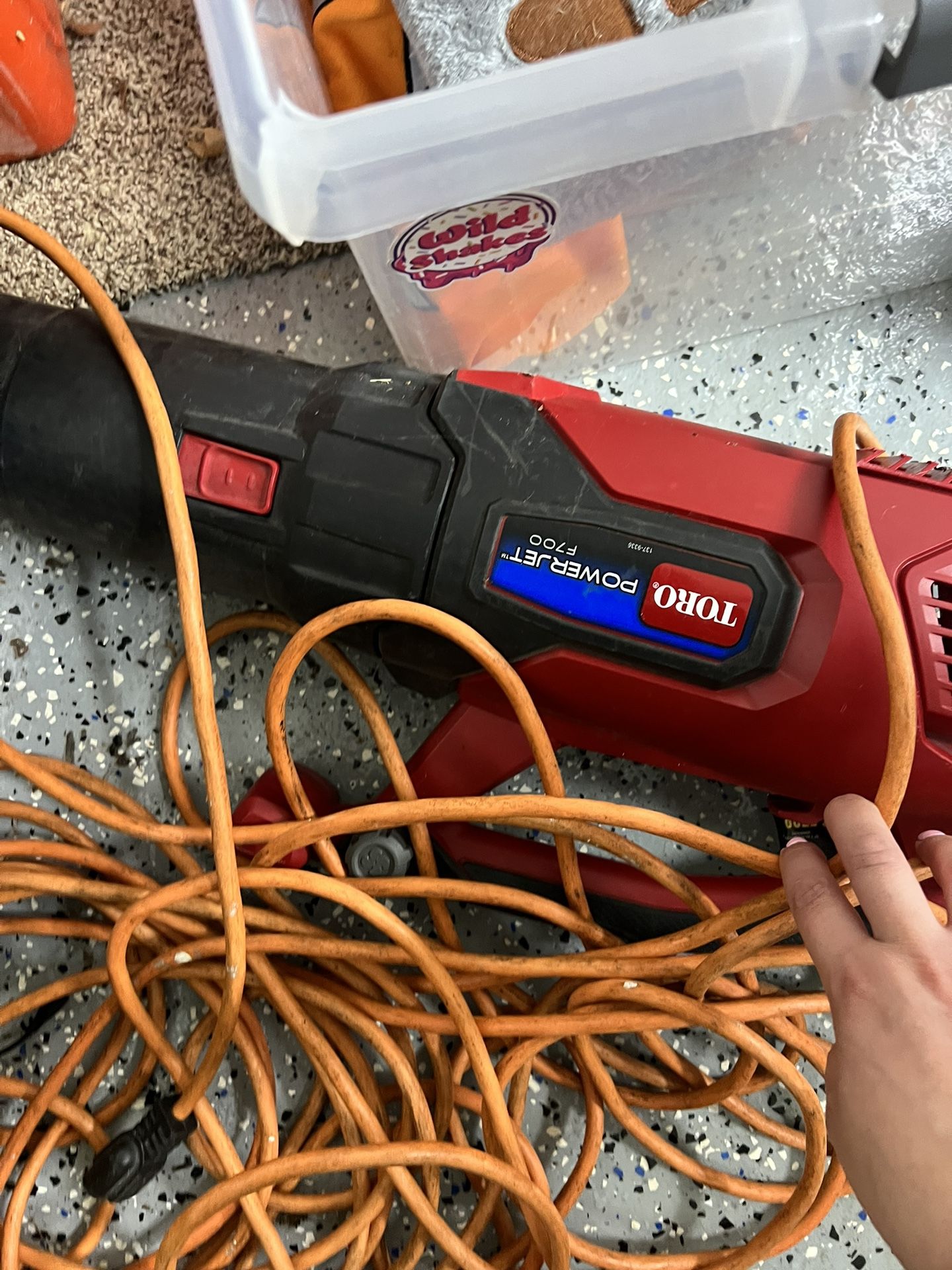 LeafBlower