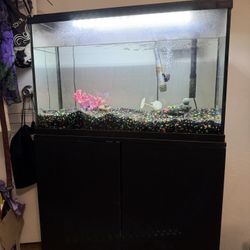 Fish Tank W/ Live Fish Please Read Details!!