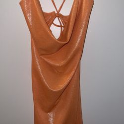 Brand new Windsor Dress