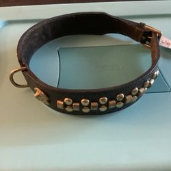 XL Dog Collar