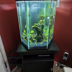 Top Fin 20g Tank