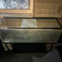 55 Or 60 Gallon Aquarium