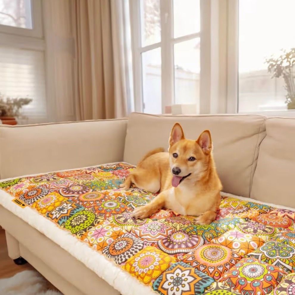 FUNNY FUZZY Pet Couch Covers for Sofa