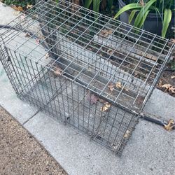 Metal Dog Crate.  3 Feet By 2 Feet 