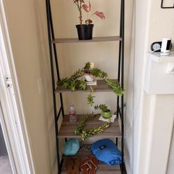Standing Shelves