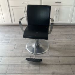 Salon Chair