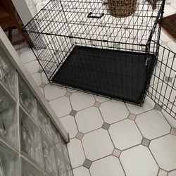 Fold And Carry Dog Crate