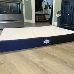 Sealy Defender Series Dog Bed - Large
