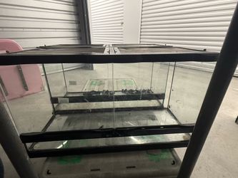Zoo Med Naturalistic Terrarium