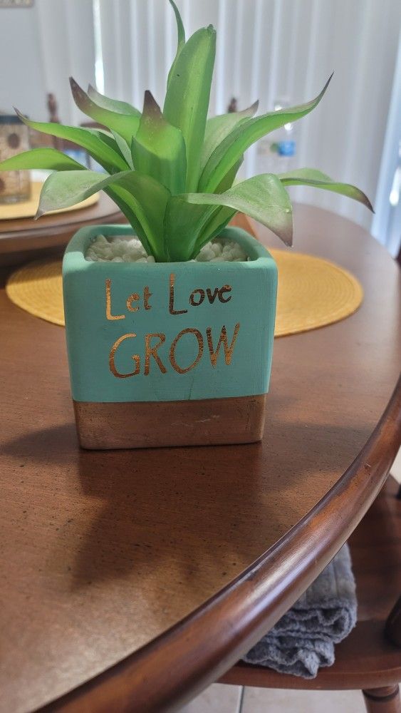 Plant