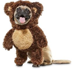 Dog Bear Costume XS