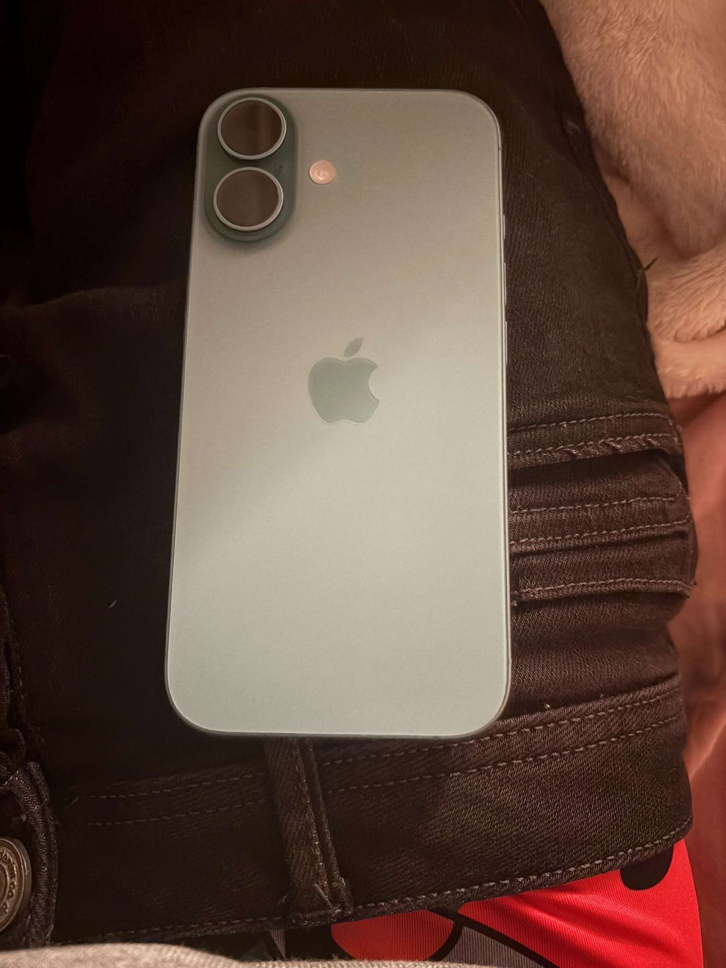 iPhone 16