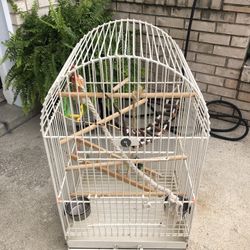 Bird Cage 