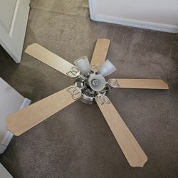 Ceiling fan and light