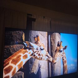 Sony Bravia VH2 65in