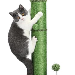 Cat Scratching Post Tall for Large Cats Cactus Scratcher for Indoor Cat with Toy Balls