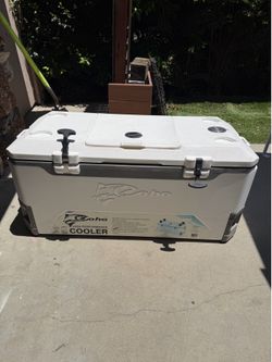 Coho high performance cooler