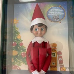 NEW ELF ON THE SHELF