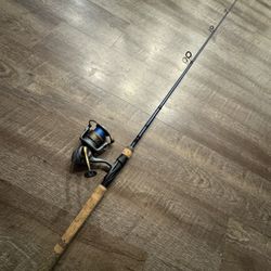 Fenwick Eagle Phleugar Presidential 35 Fishing Combo Like New. 