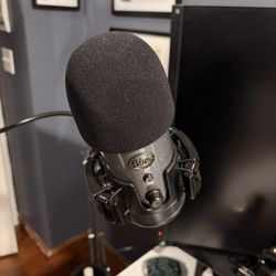 Blue Yeti Professional Mic